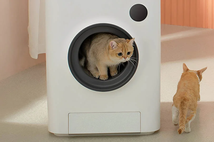 smart litter box for cats